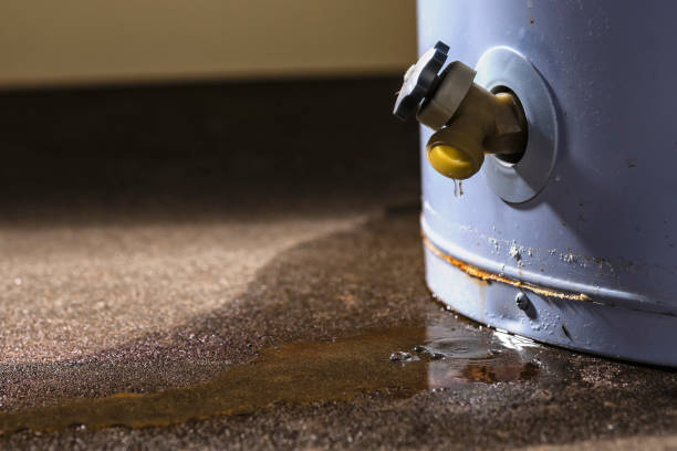 Best Mold removal after water damage  in Childersburg, AL