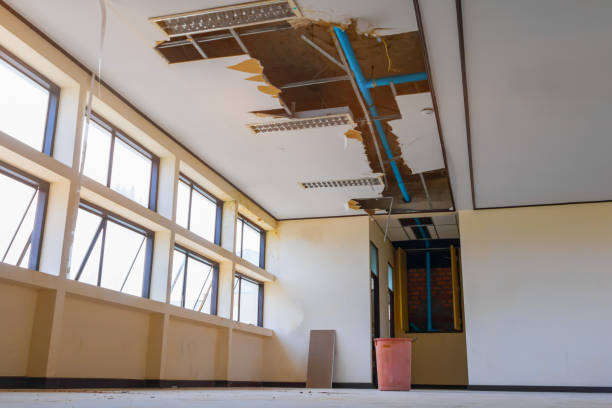 Professional Water damage restoration in Childersburg, AL