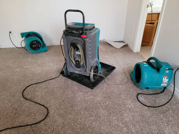 Best Professional water damage repair  in Childersburg, AL