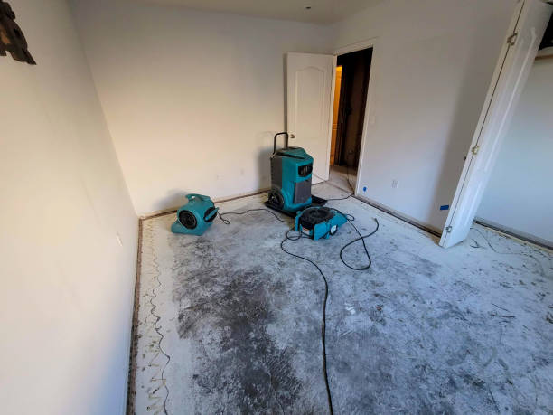 Best Basement water damage restoration  in Childersburg, AL