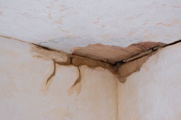 Best 24-hour water damage restoration  in Childersburg, AL