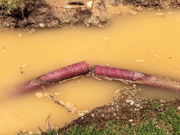 Best Residential water damage restoration  in Childersburg, AL