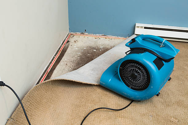 Carpet water damage restoration in Childersburg, AL